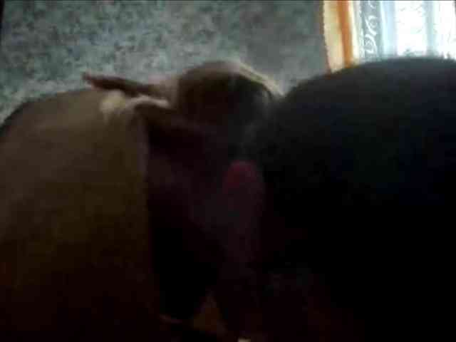 Evacrazys webcam