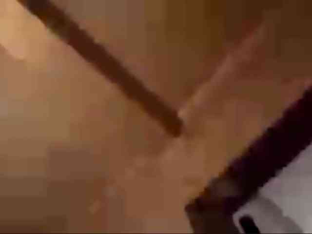 Evacrazys webcam