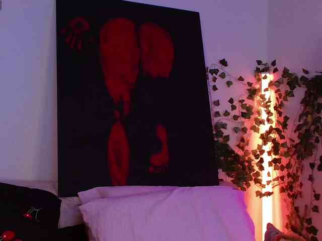 Bellabar webcam