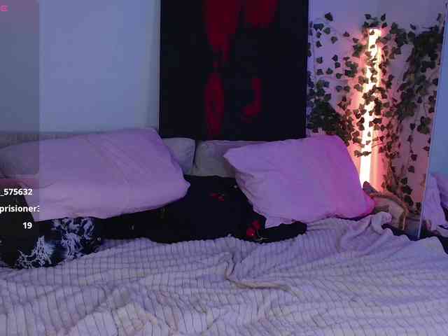Bellabar webcam