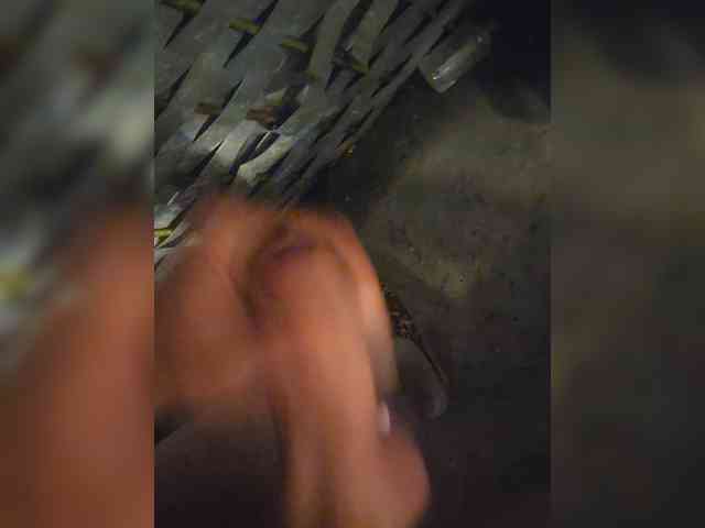 Groza335