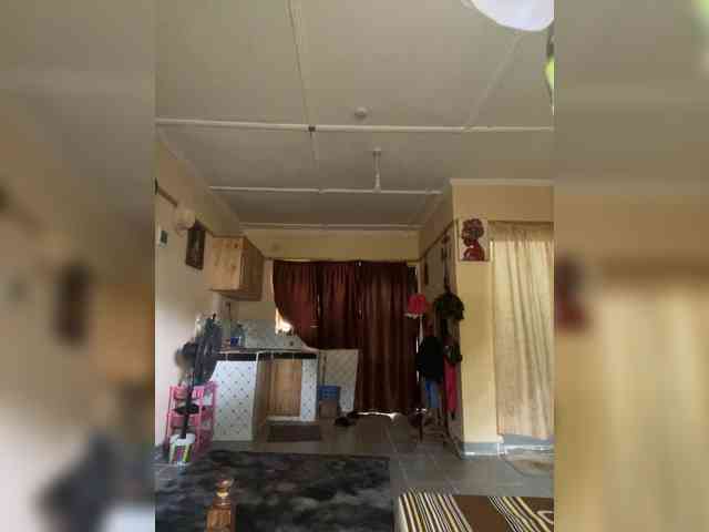 Lubicharm webcam