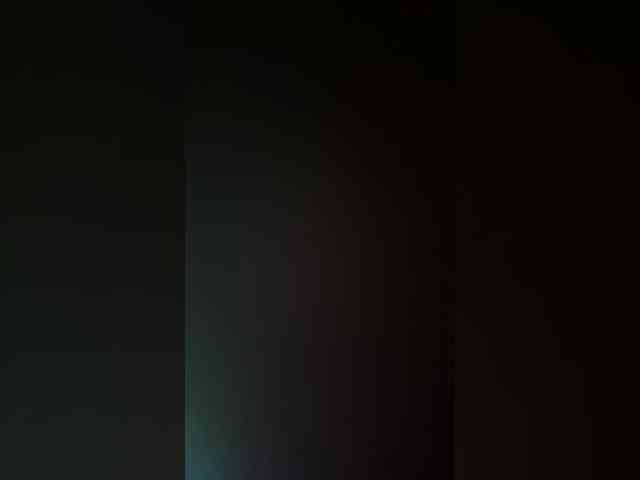 Honeyed_Couple