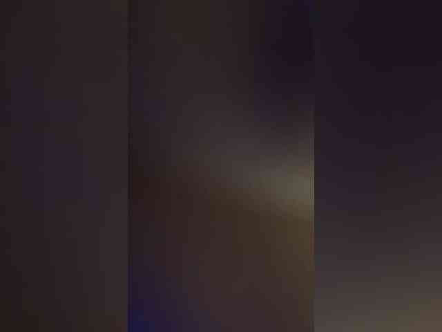 Honeyed_Couple