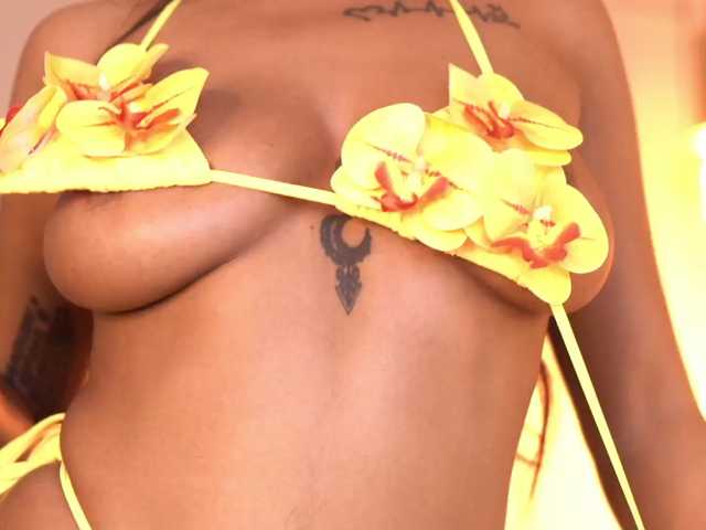 SiennaHays live cam on BongaCams