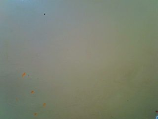 Molly-22's Live Webcam