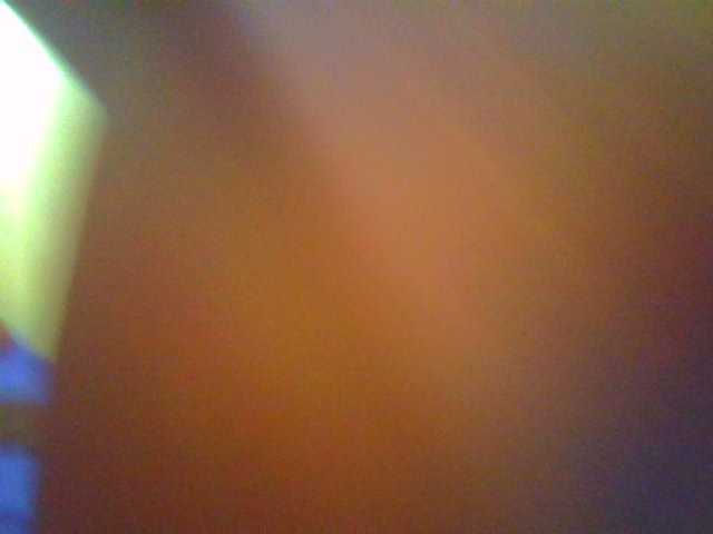 Molly-22