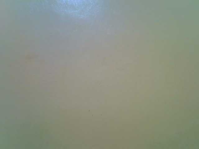 Molly-22 — live female cam