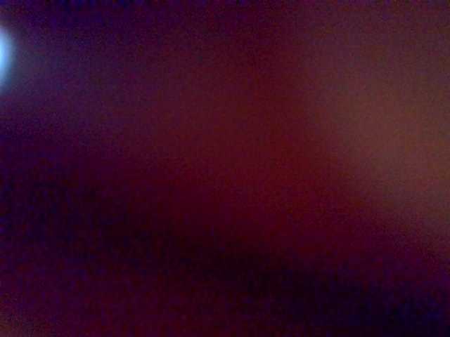 Molly-22