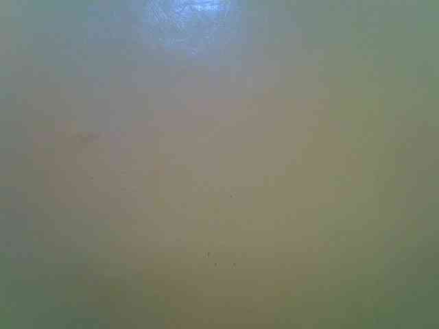 Molly-22 webcam