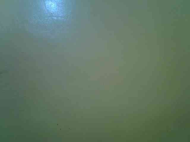 Molly-22 webcam