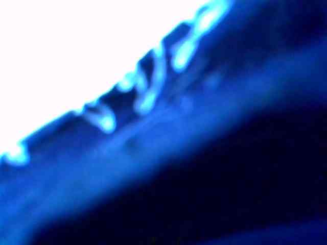 Molly-22 webcam