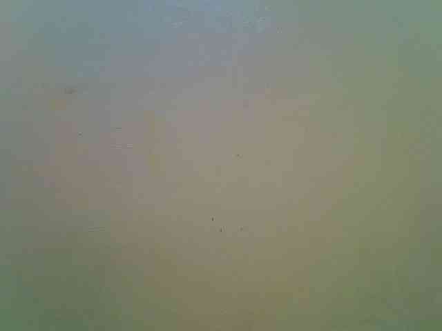 Molly-22 webcam