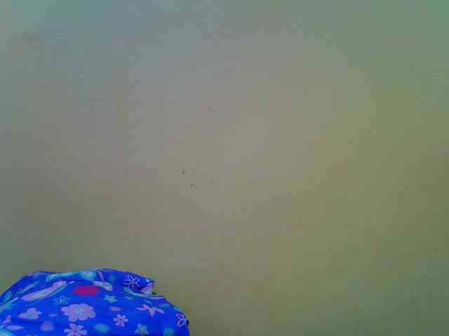 Molly-22 webcam
