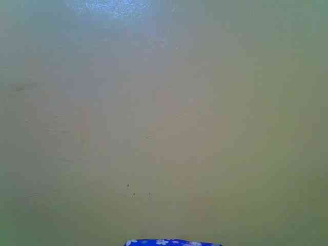 Molly-22 webcam