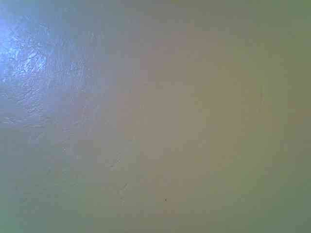Molly-22 webcam