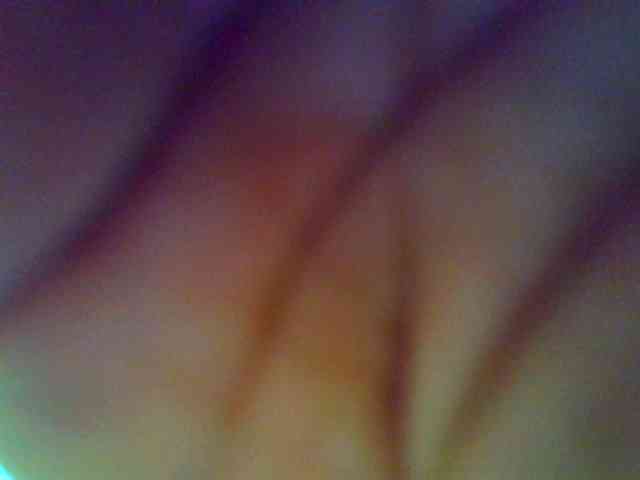 Molly-22