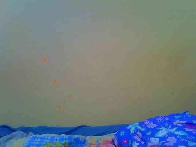 Molly-22 webcam