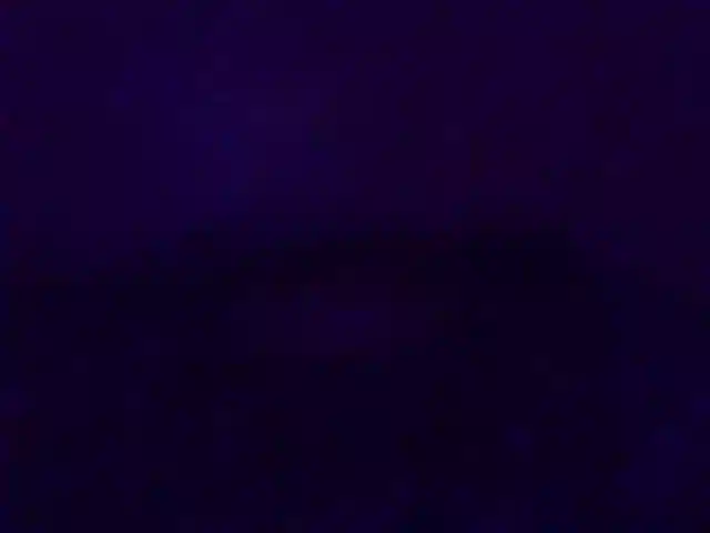 Molly-22