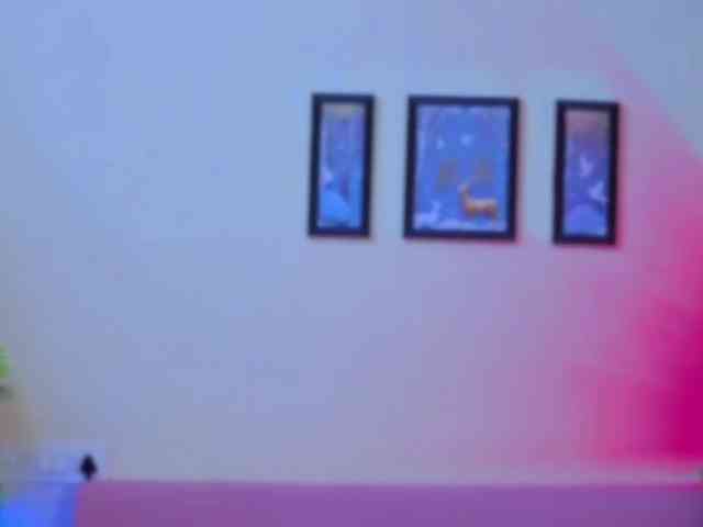 ZoyaPK webcam