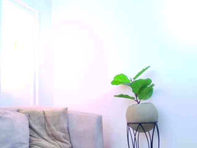 SaharaaFox webcam