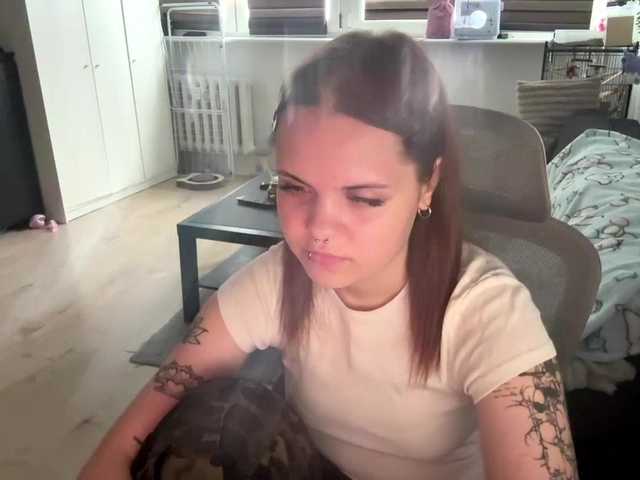 AbbyTeen live cam on BongaCams