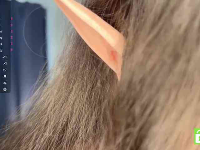 EleanoreZaucha webcam