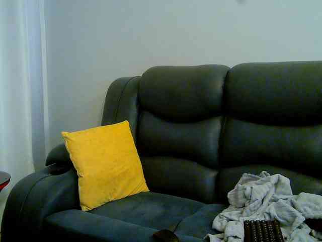 Kariski webcam