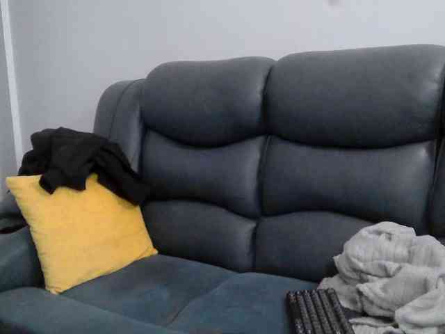 Kariski webcam