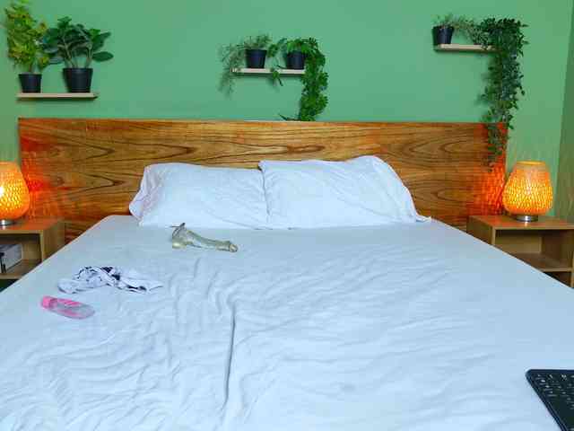 penelopeberry Live Webcam on BongaCams