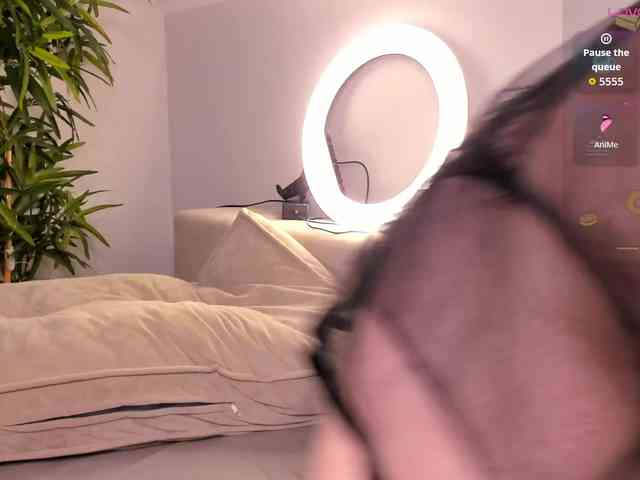Sew-Sunny webcam