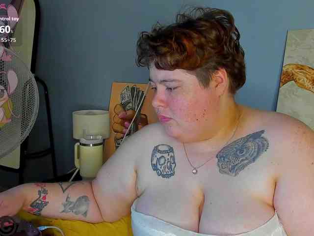 Sew-Sunny webcam