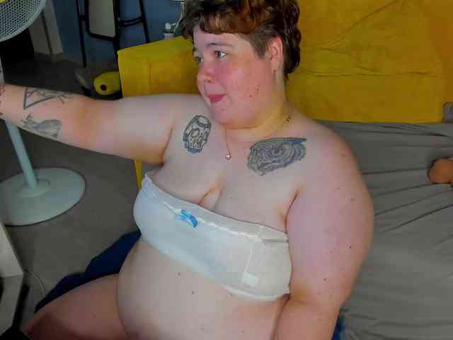 Sew-Sunny webcam