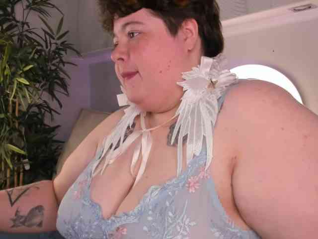 Sew-Sunny webcam