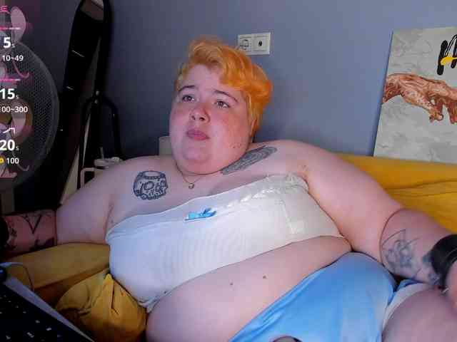 Sew-Sunny webcam