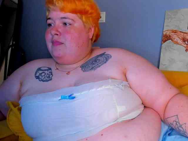 Sew-Sunny webcam