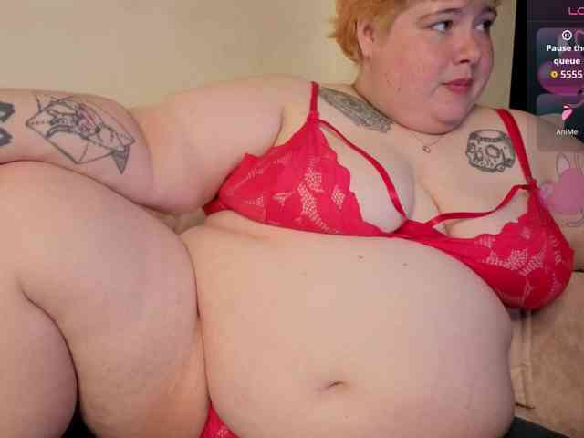 Sew-Sunny webcam
