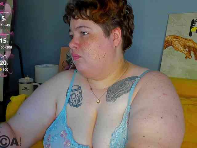 Sew-Sunny webcam
