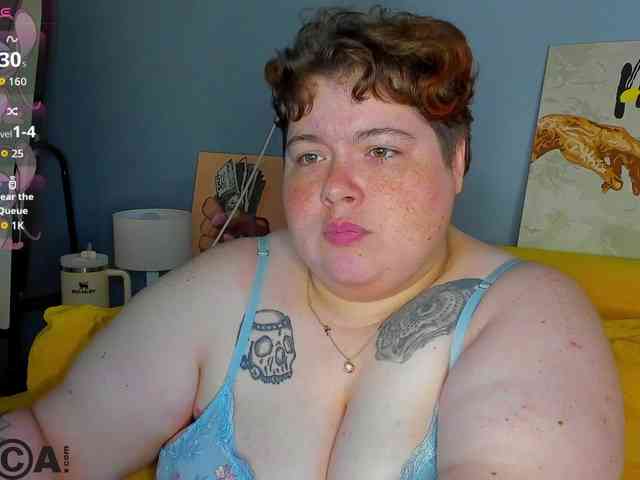 Sew-Sunny webcam