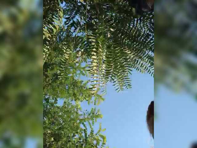 Buns2026