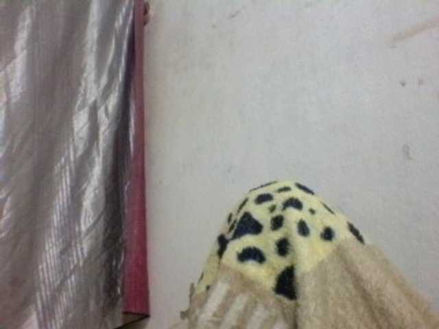 candy1a