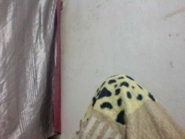 candy1a