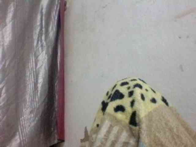candy1a webcam