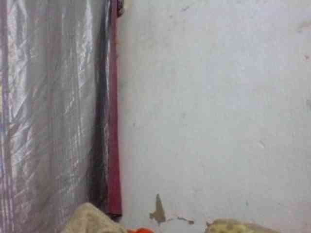 candy1a webcam