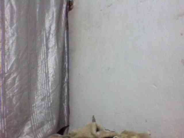 candy1a webcam