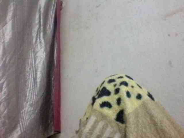 candy1a