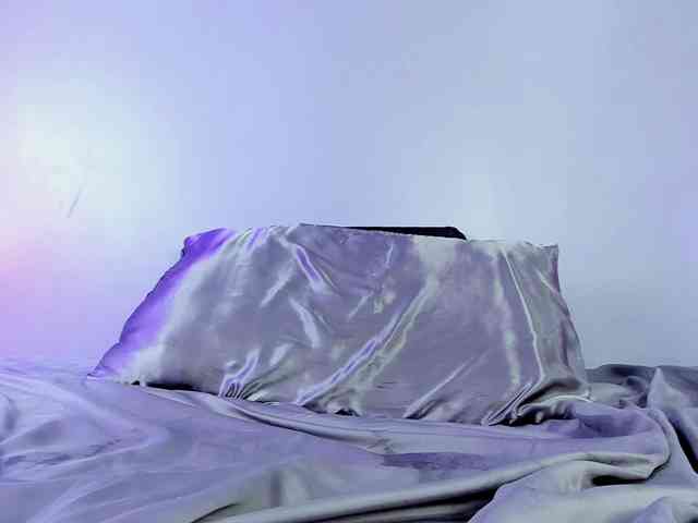 RoxanArt webcam