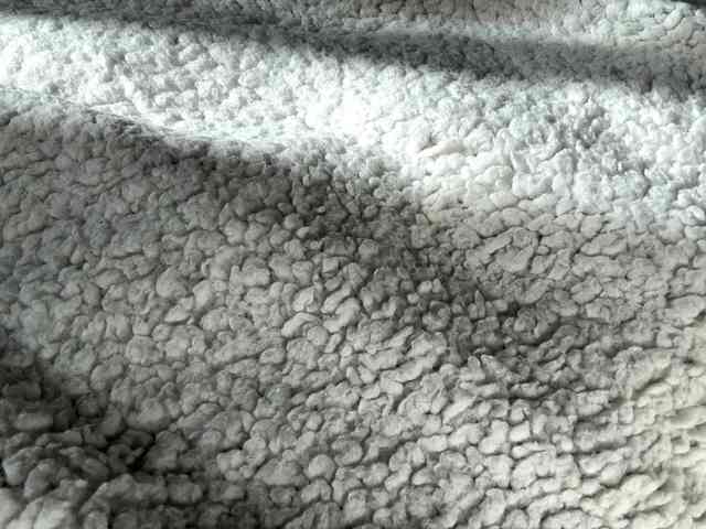 FionaKim webcam
