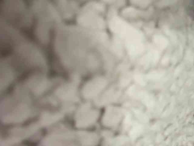 FionaKim webcam