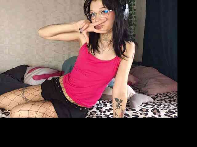 SofiaSocks webcam